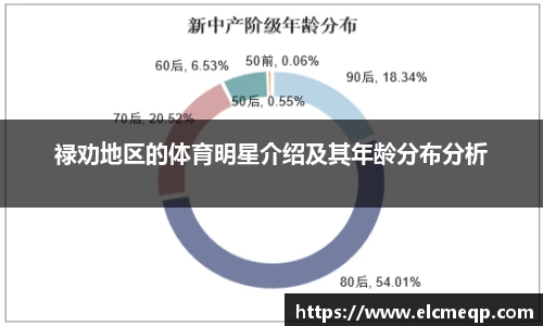 禄劝地区的体育明星介绍及其年龄分布分析