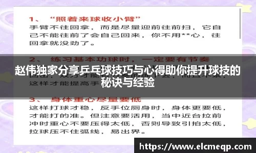 赵伟独家分享乒乓球技巧与心得助你提升球技的秘诀与经验