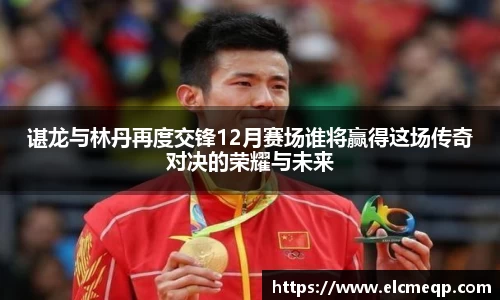 谌龙与林丹再度交锋12月赛场谁将赢得这场传奇对决的荣耀与未来