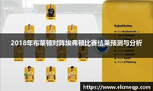 2018年布莱顿对阵埃弗顿比赛结果预测与分析