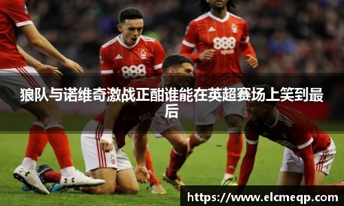 狼队与诺维奇激战正酣谁能在英超赛场上笑到最后