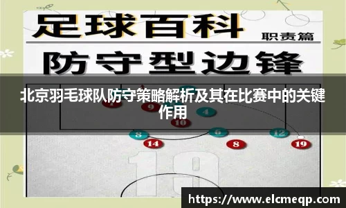 北京羽毛球队防守策略解析及其在比赛中的关键作用